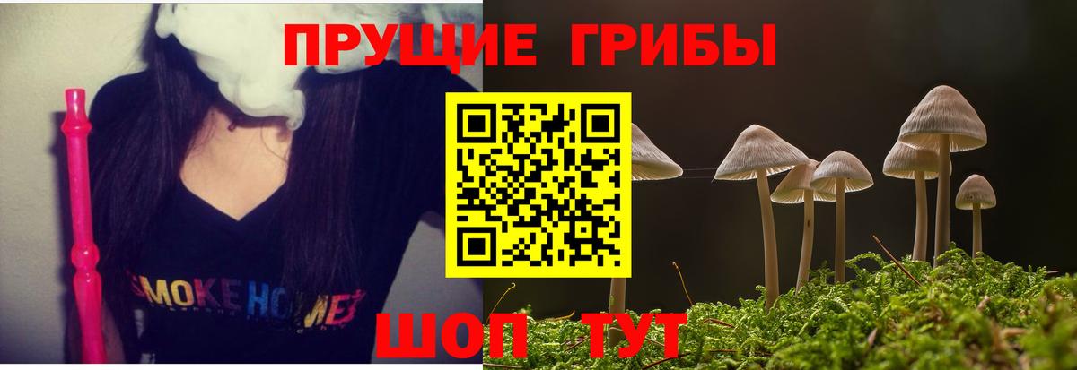 Псилоцибиновые грибы Cubensis Артёмовский